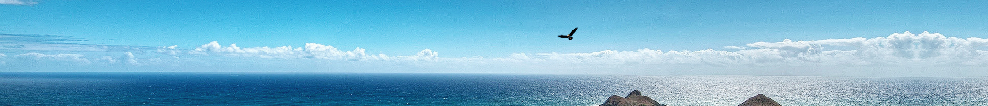 c7c7娱乐平台(中国游)登录官网入口